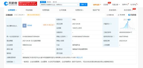 社会经济咨询服务 从专业智囊到市场润滑剂的演变之道