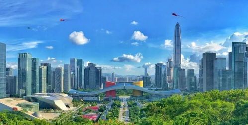 建设先行示范区 既是荣光，更是责任——社会经济咨询服务的使命与担当