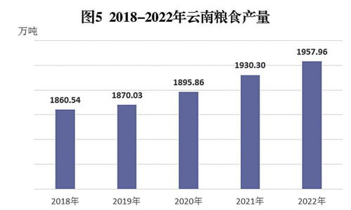 云南省2022年国民经济和社会发展统计公报解读与咨询服务启示