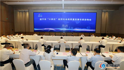 擘画蓝图聚智慧，精准把脉谋发展——我市成功召开“十四五”经济社会高质量发展专家咨询会